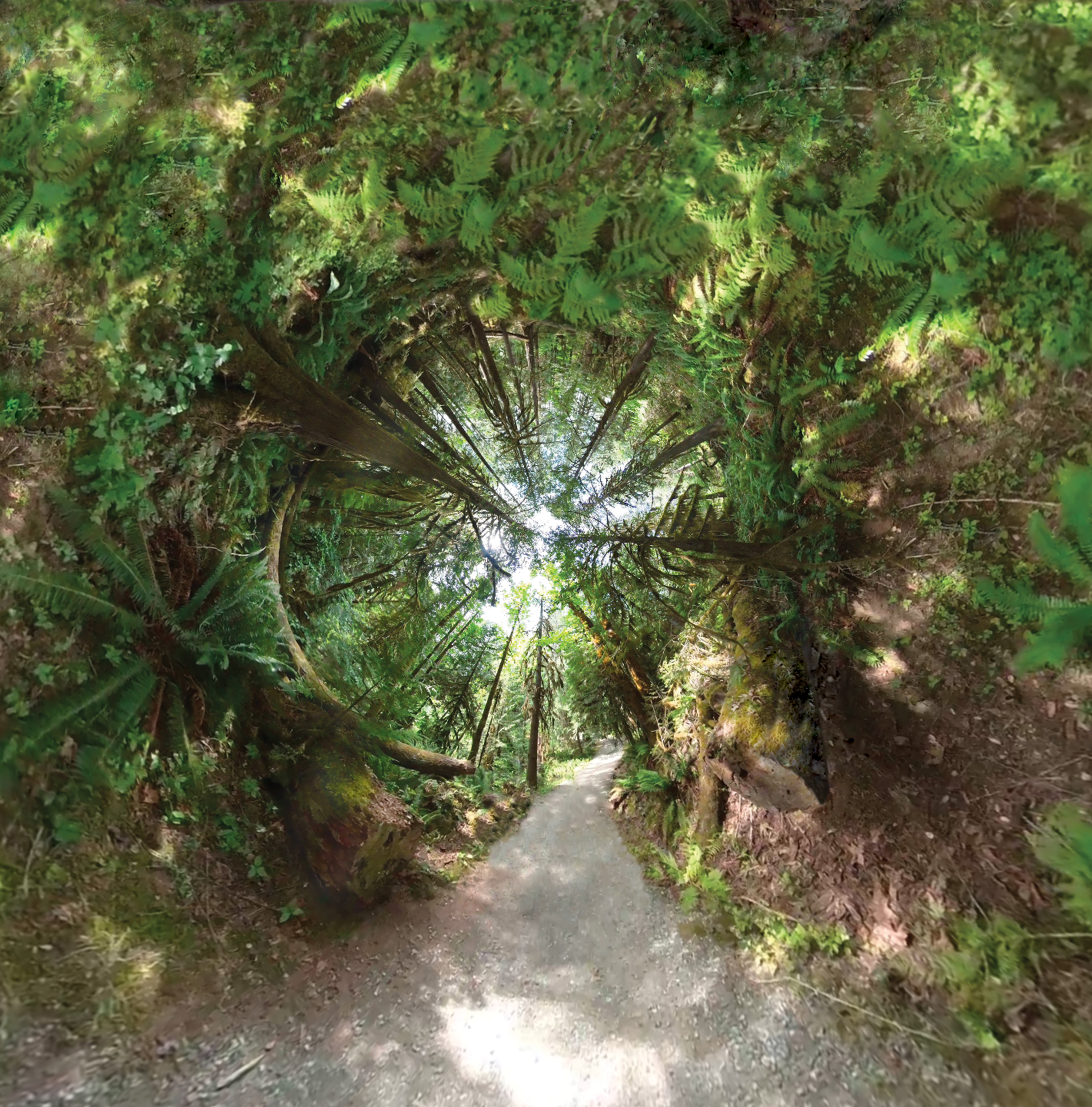 Another Perspective 3